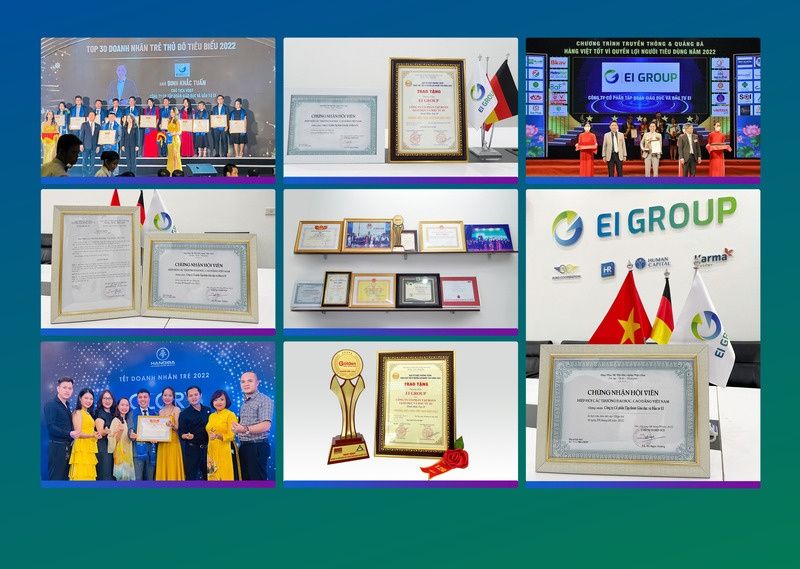 Các giải thưởng của EI Group